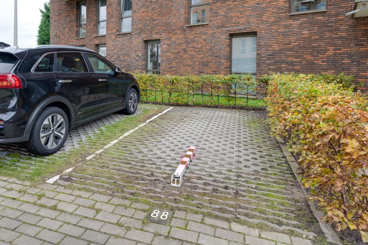 Photo 41 of Winterjanpad 88