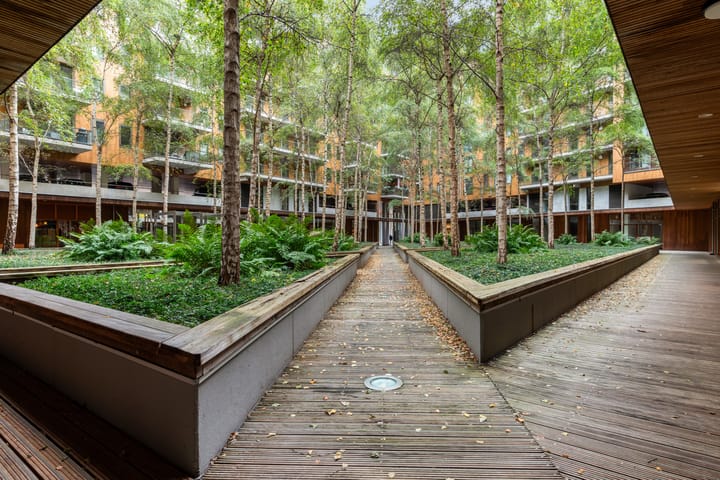 Photo 3 of Oppert 164