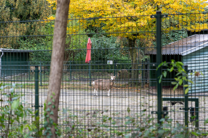 Foto 48 van Rutherfordstraat 10-H