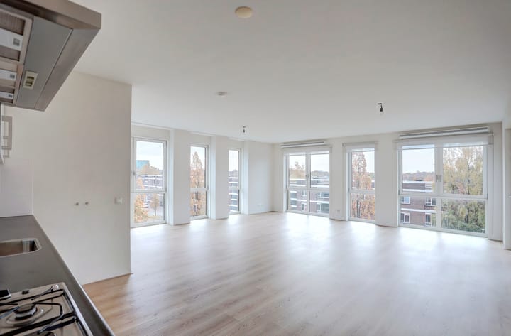 Foto 3 van IJsvogelpassage 37