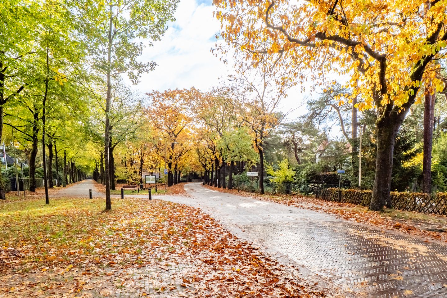 Foto 44 van Julianalaan 279