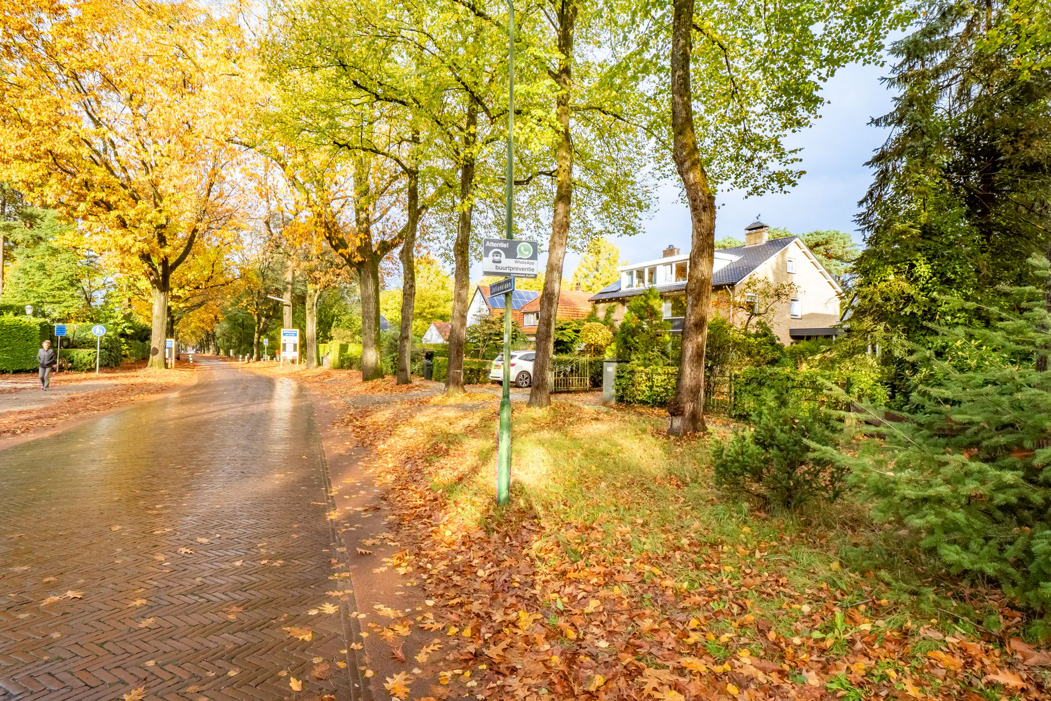 Foto 45 van Julianalaan 279