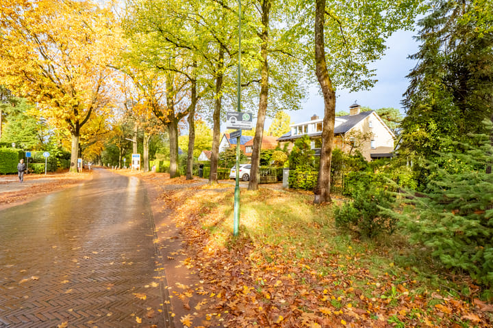 Foto 45 van Julianalaan 279