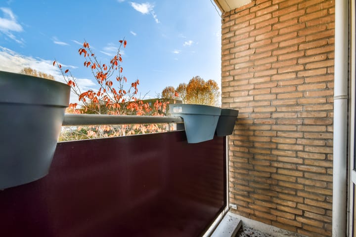 Foto 5 van Groen van Prinstererweg 87