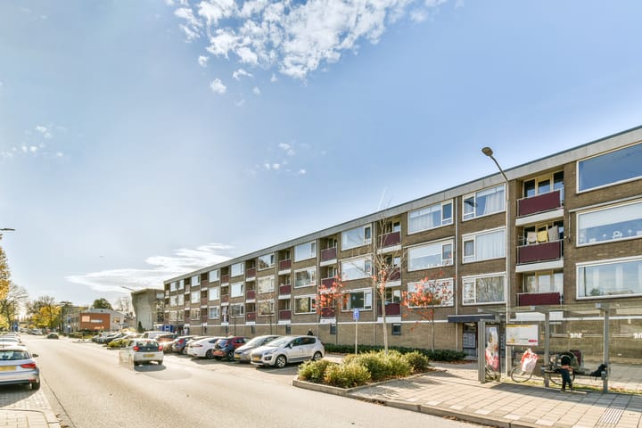 Foto 6 van Groen van Prinstererweg 87