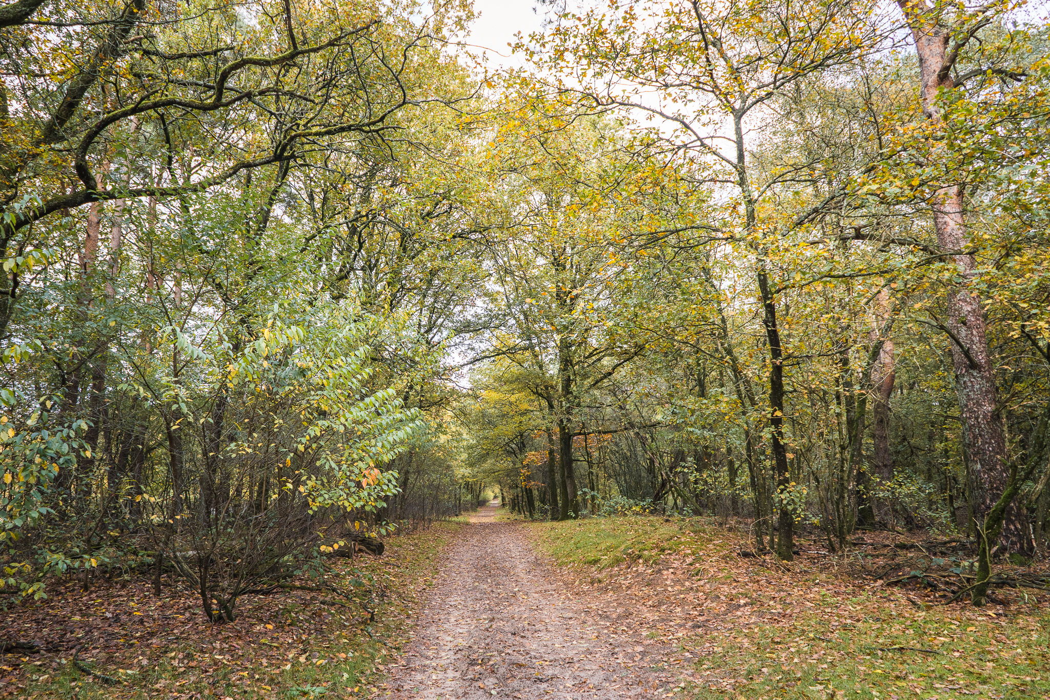 Foto 24 van Kerkendelweg 30-67