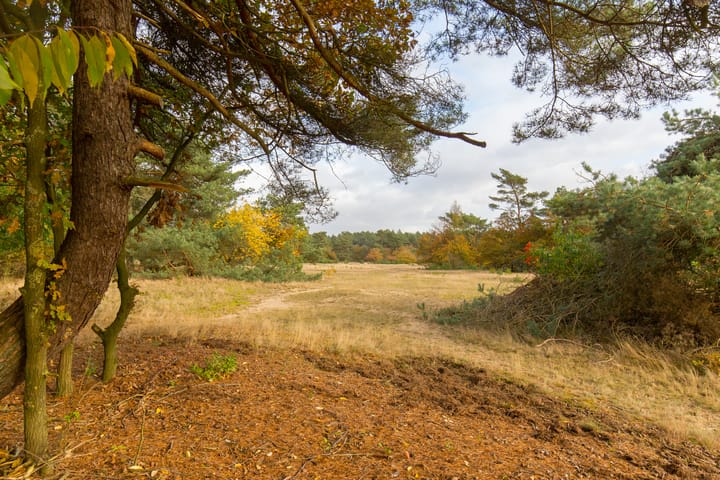 Foto 27 van Kerkendelweg 30-67