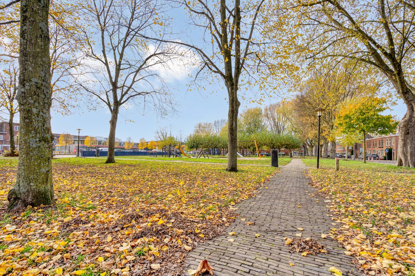 Foto 50 van Cremerstraat 56