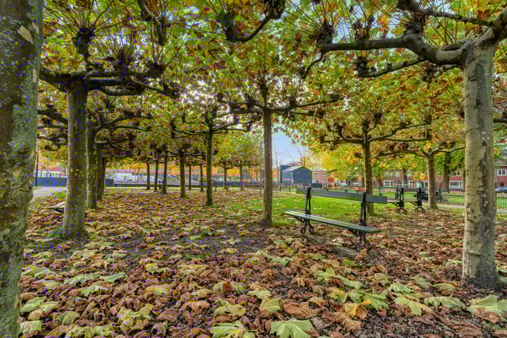 Foto 52 van Cremerstraat 56