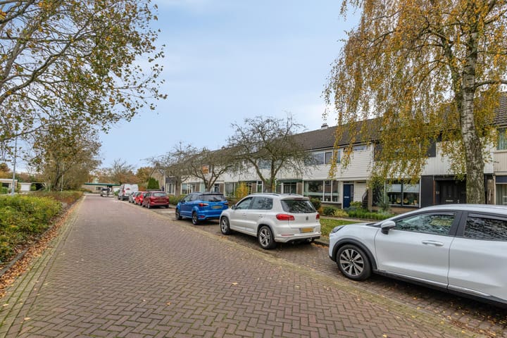 Foto 30 van Continentenlaan 11