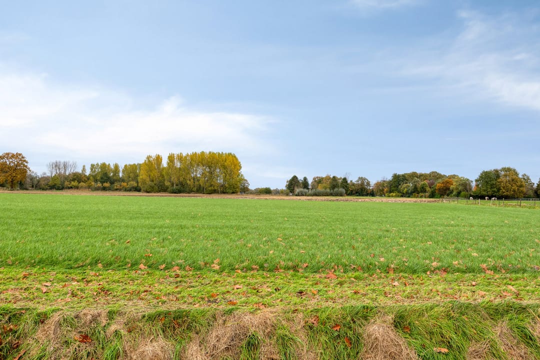 Foto 97 van Gastelseweg 52