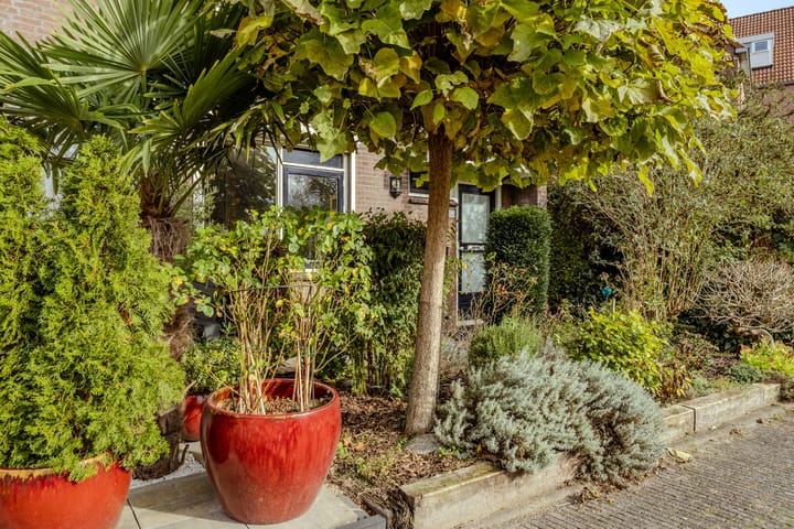 Photo 7 of Dorlandsweer 56