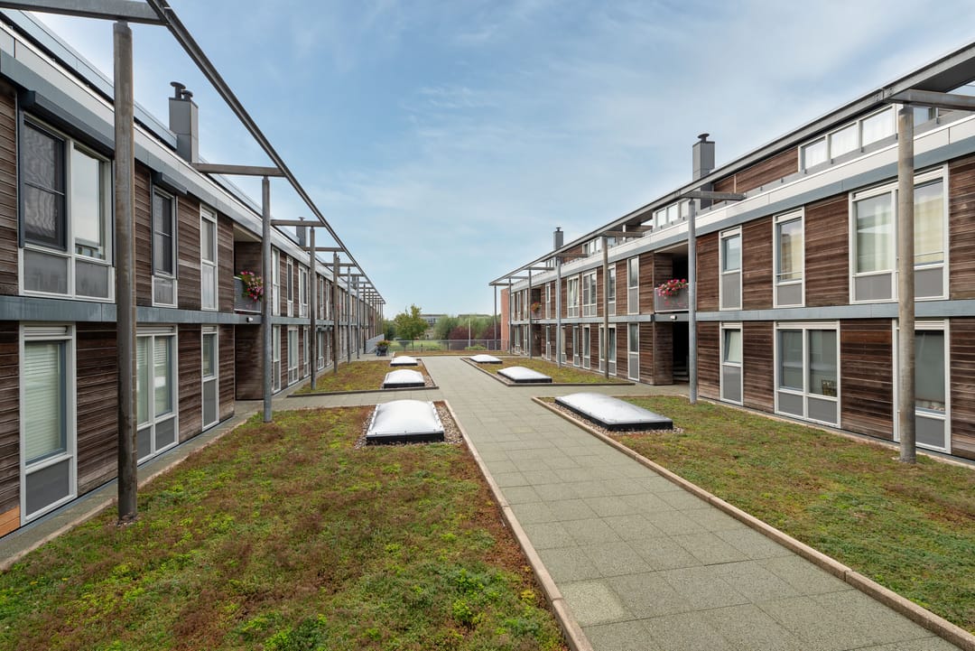 Photo 2 of Bronmos 14