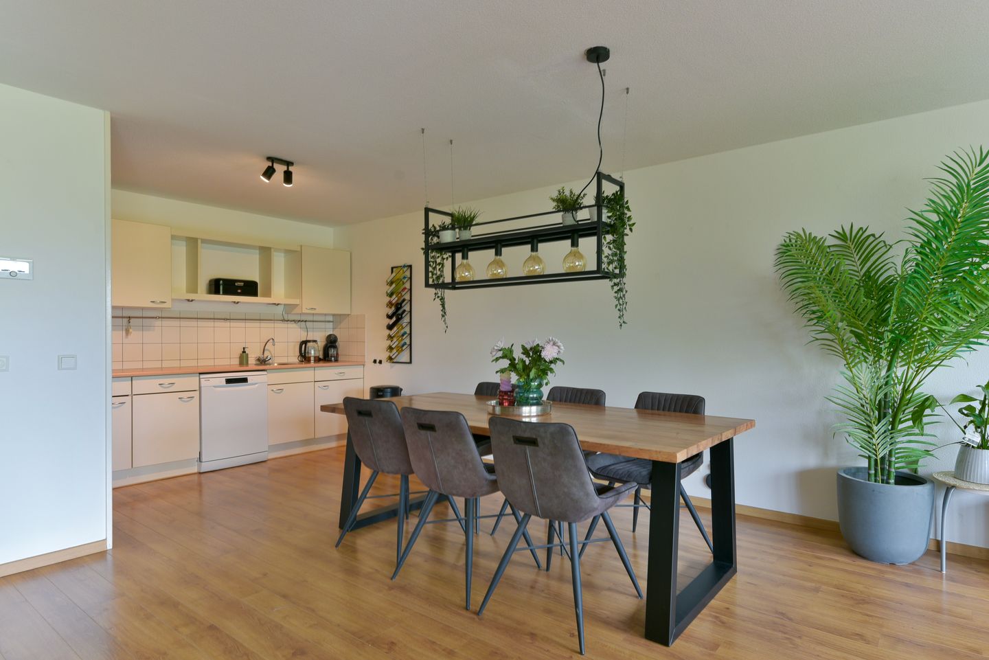 Photo 14 of Bronmos 14