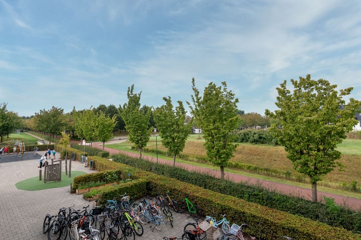 Photo 25 of Bronmos 14