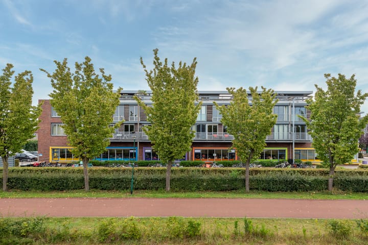 Photo 36 of Bronmos 14