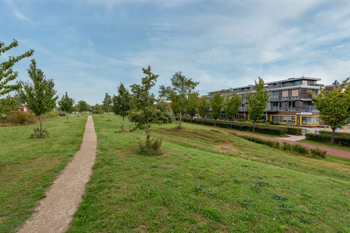 Photo 39 of Bronmos 14