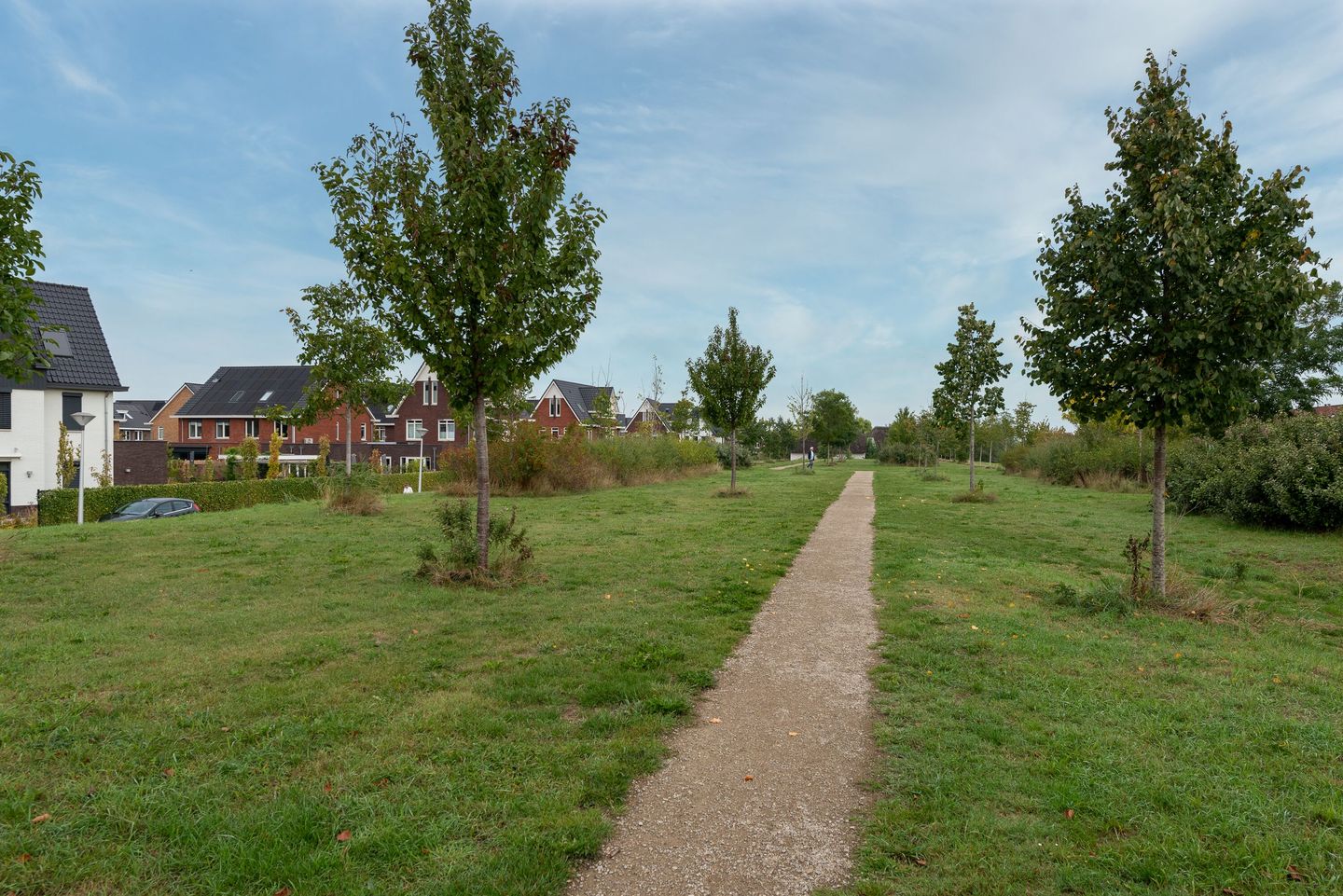 Photo 40 of Bronmos 14