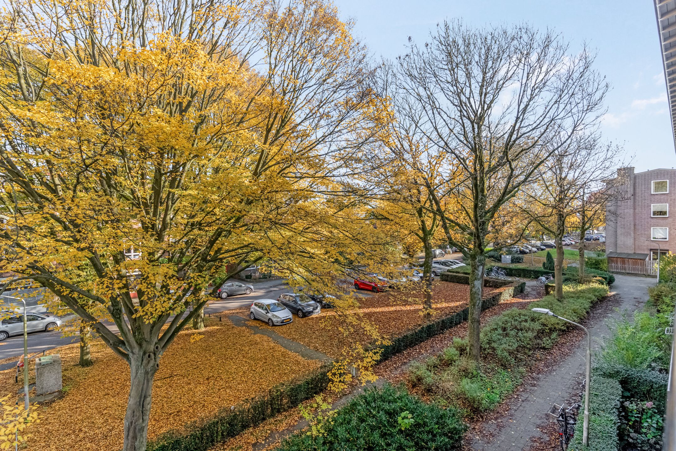 Foto 27 van Wolfstraat 54