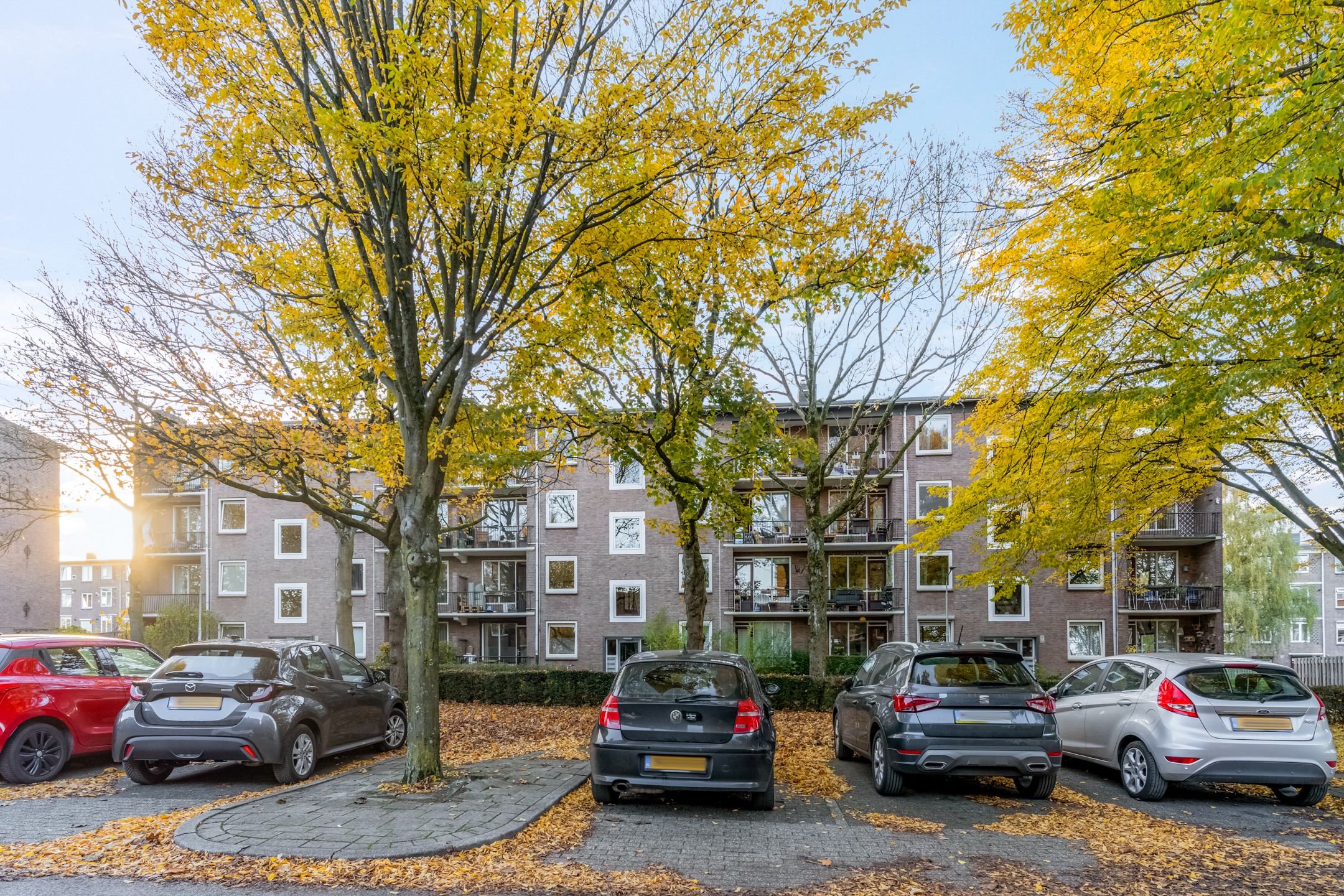 Foto 30 van Wolfstraat 54