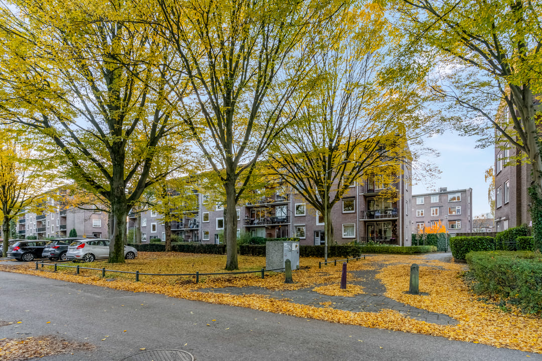 Foto 31 van Wolfstraat 54