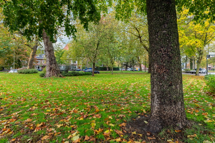 Foto 54 van Mauritsstraat 16