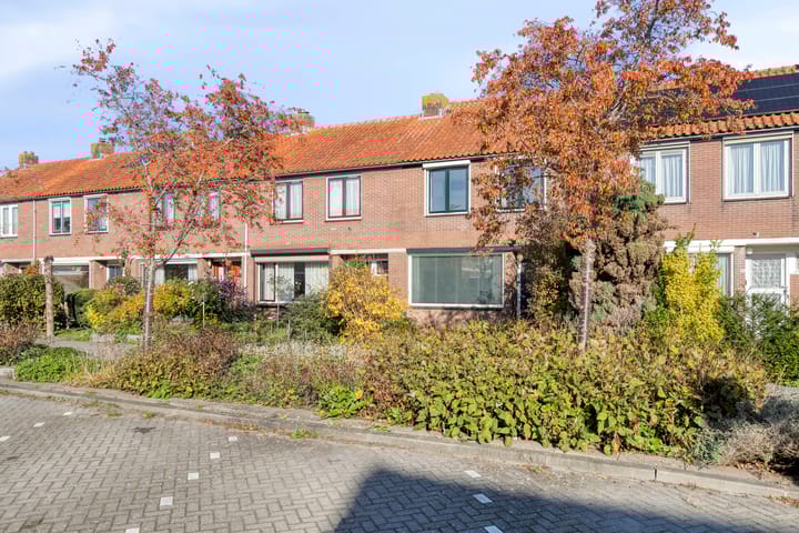 Photo 3 of De Manning 49