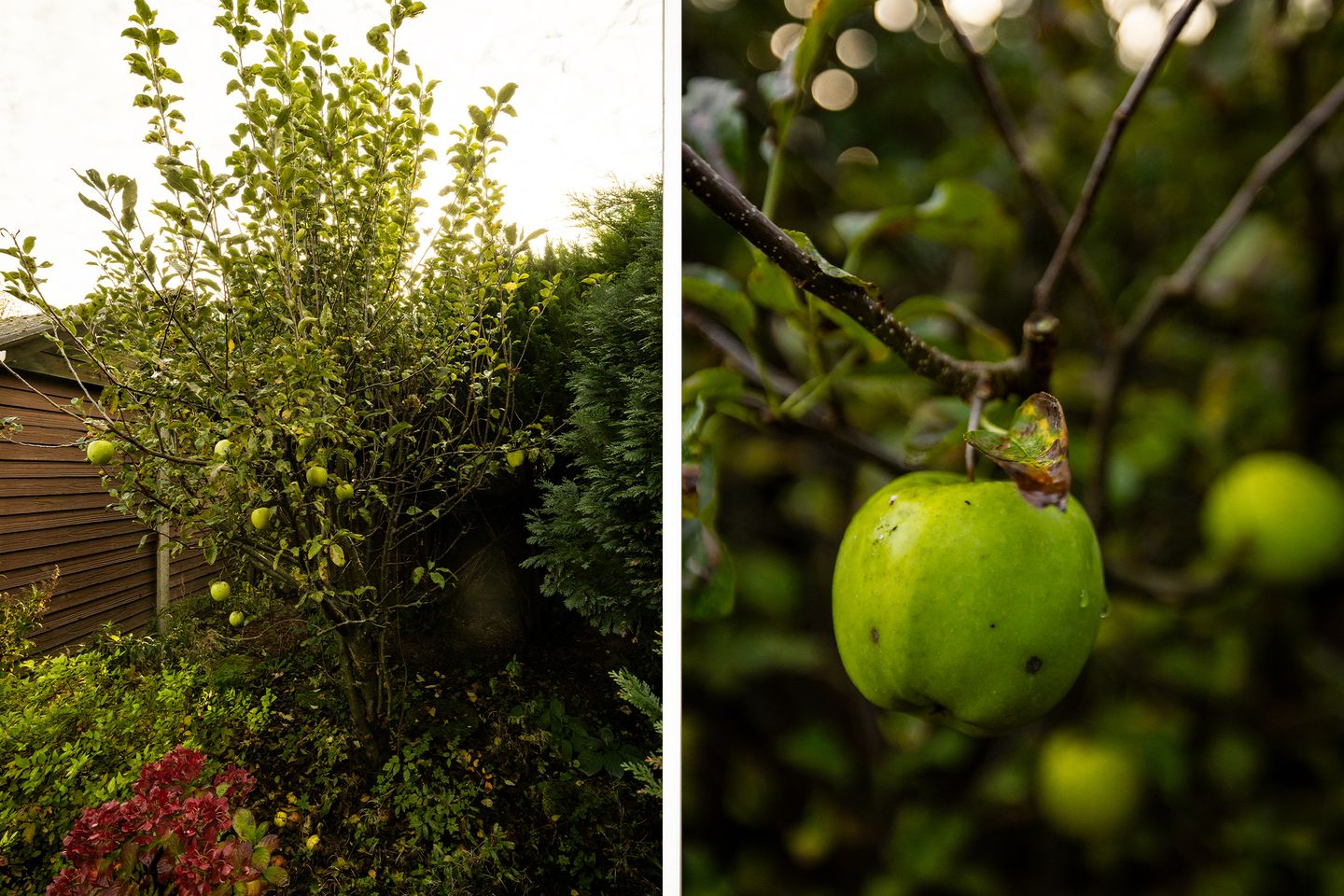 Foto 20 van Wilgenlaan 142