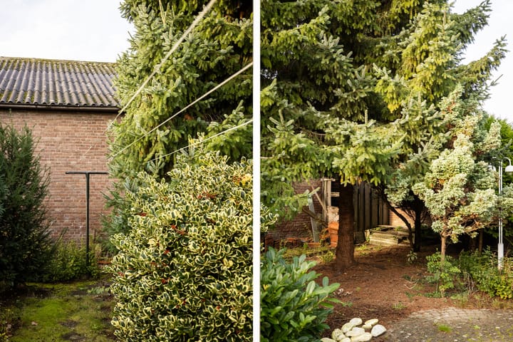 Photo 25 of Wilgenlaan 142