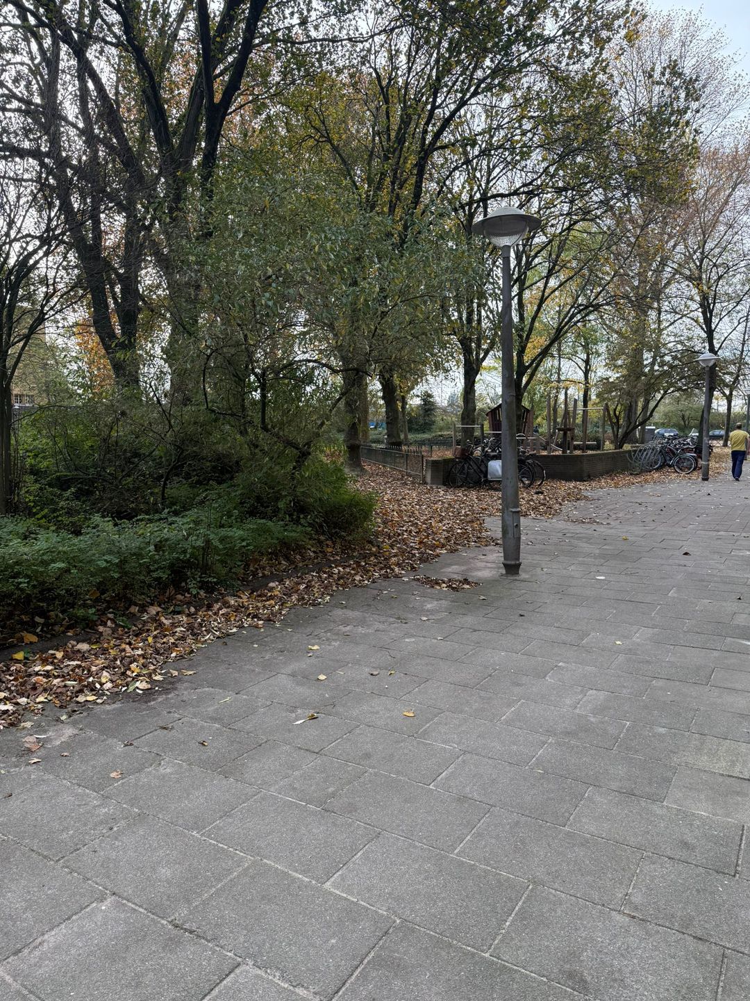 Foto 23 van Spaarndammerplantsoen 80