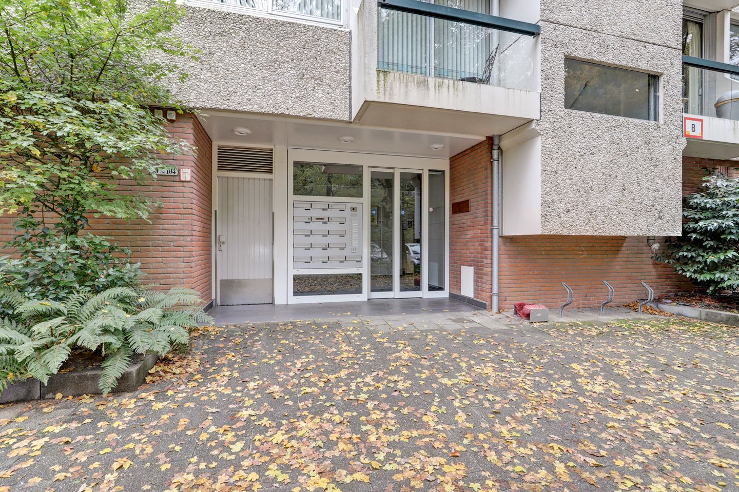 Foto 4 van De Zalmen 101