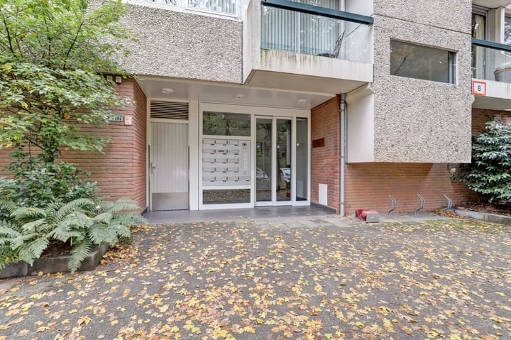 Foto 4 van De Zalmen 101