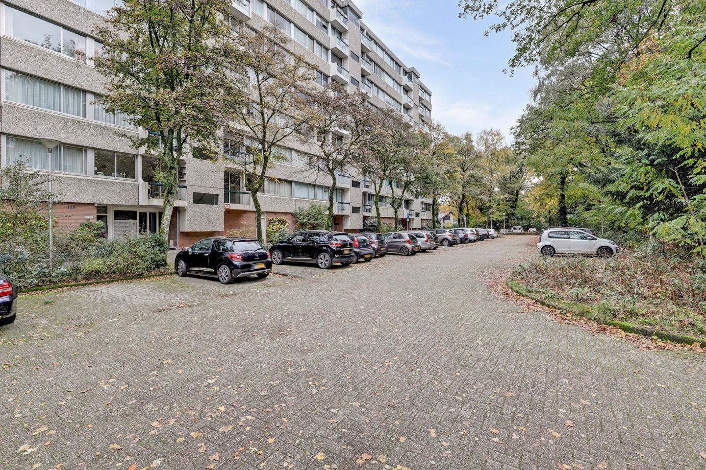 Foto 5 van De Zalmen 101