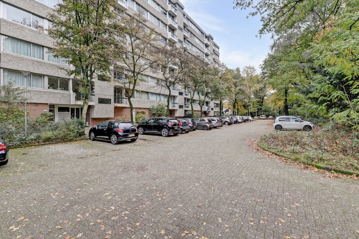 Foto 5 van De Zalmen 101