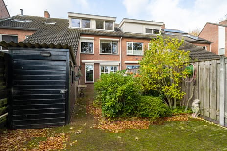 Kamille 23 secondary image