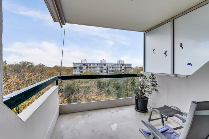 Foto 31 van De Zalmen 101