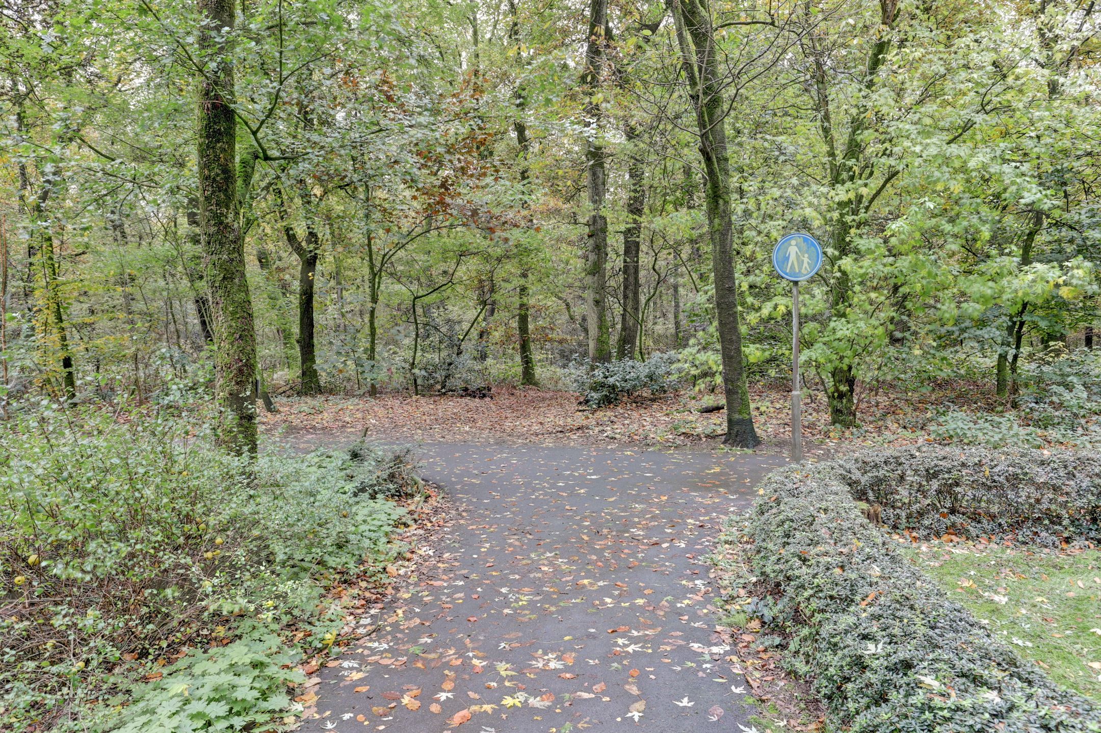 Foto 33 van De Zalmen 101