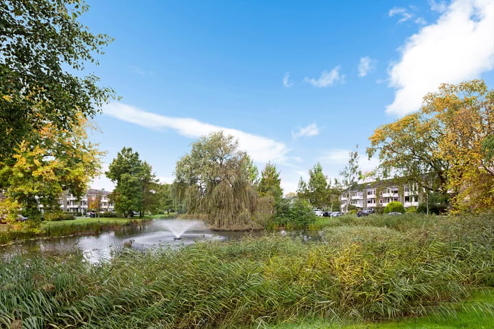 Foto 5 van Oosterpark 87