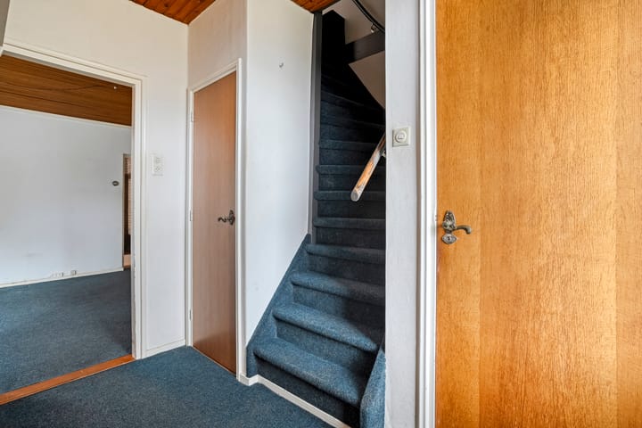 Photo 11 of Havelter Schapendrift 17