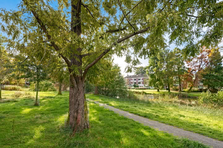 Foto 49 van Oosterpark 87