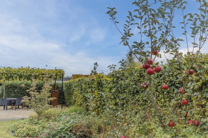 Foto 42 van De Kraan 120