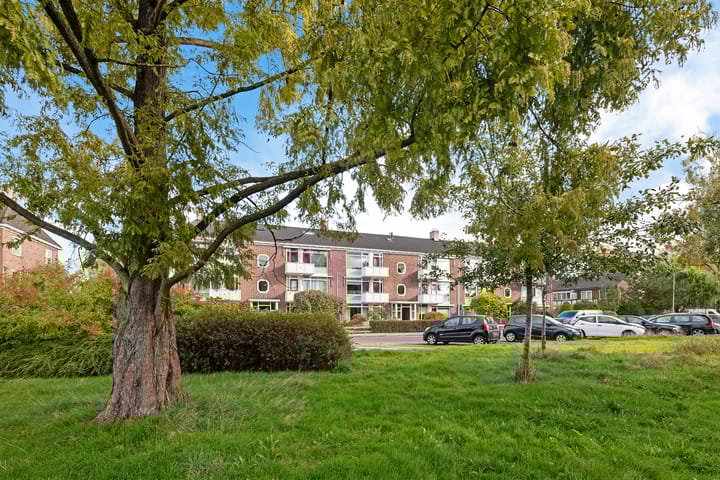 Foto 50 van Oosterpark 87