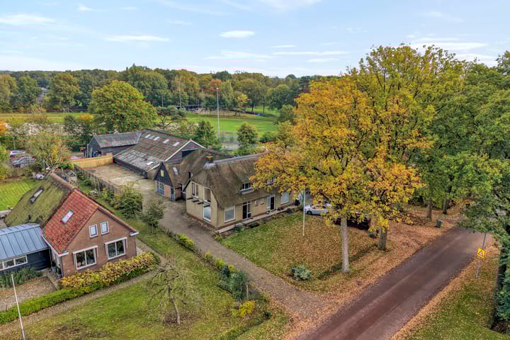 Photo 34 of Havelter Schapendrift 17