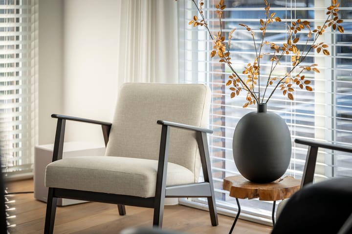 Photo 6 of Leonard Springerlaan 299