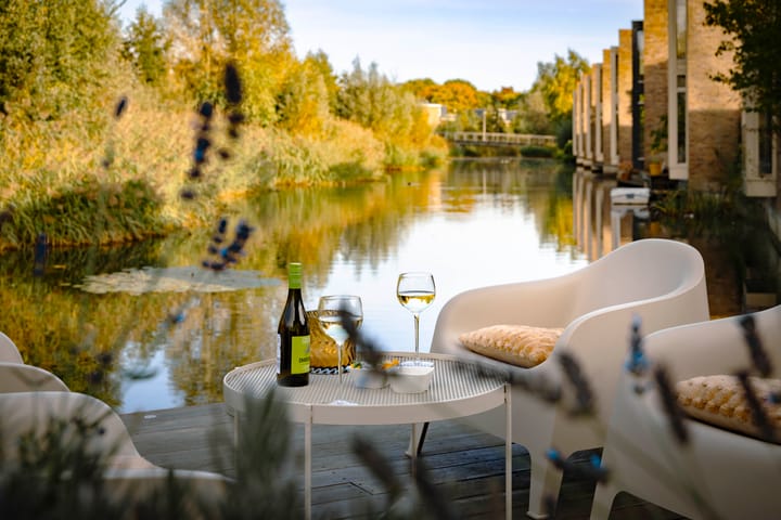 Photo 37 of Leonard Springerlaan 299