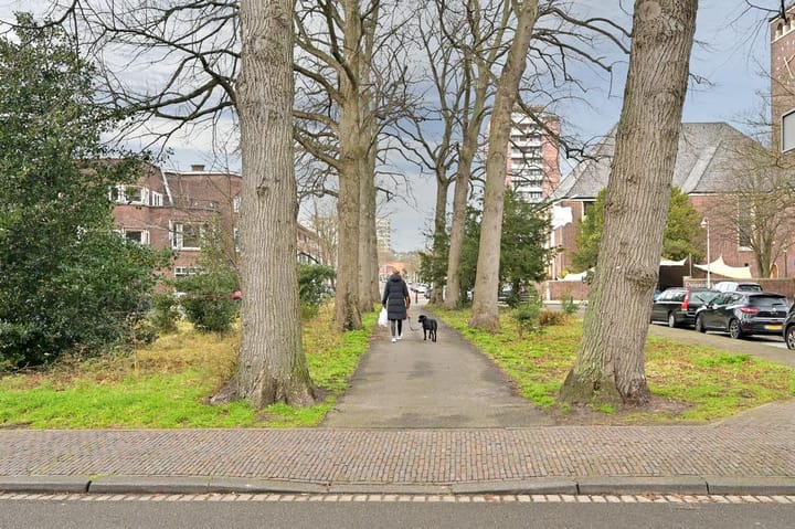 Photo 17 of Van Nijenrodestraat 98