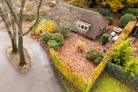 Hoorneweg 17-B1 secondary image