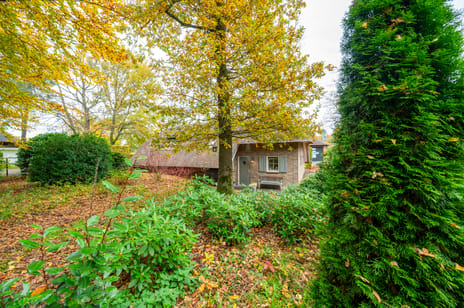 Hoorneweg 17-B1 tertiary image