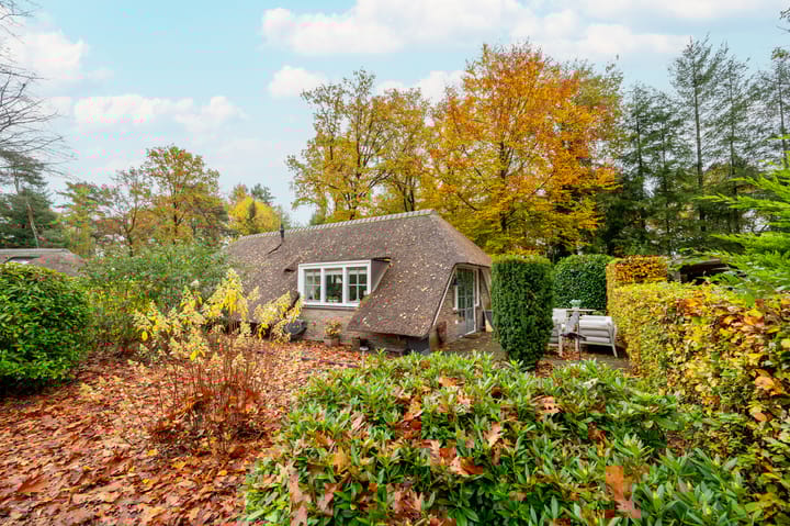 Foto 4 van Hoorneweg 17-B1