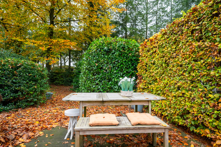 Photo 31 of Hoorneweg 17-B1